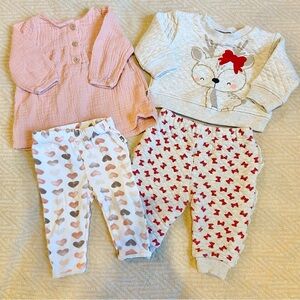 Baby Girl Clothes Bundle 3-6 Month